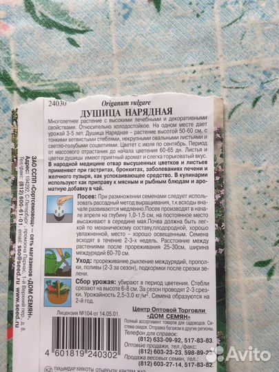 Куст Душицы Нарядной
