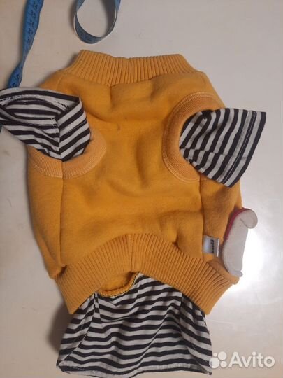 Одежда для средних собак