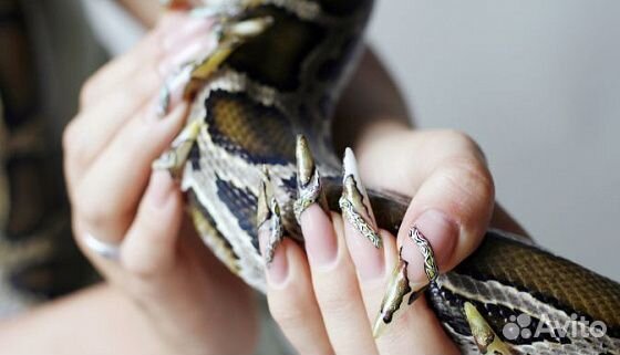 Выползок змеи для маникюра