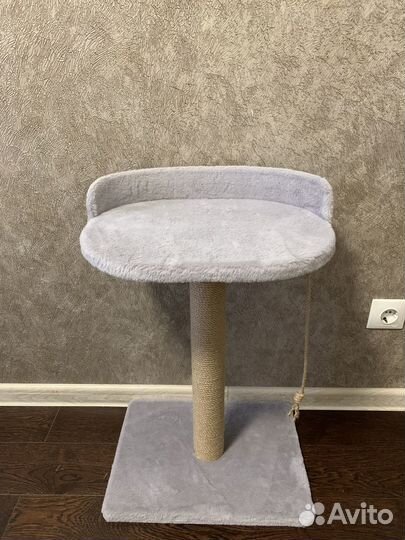 Когтеточка