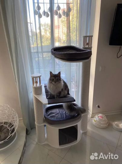 Когтеточки и домики для кошек