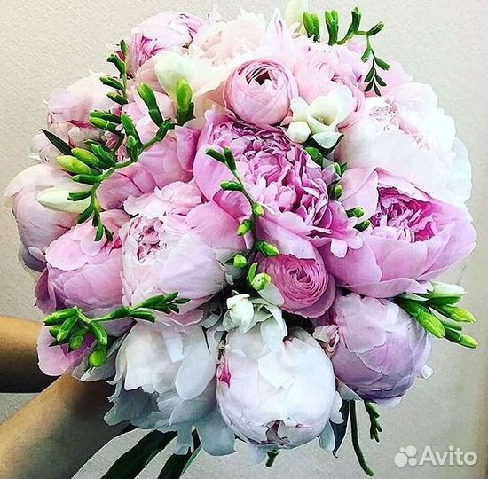 Пионы Букет пионов Доставка цветов
