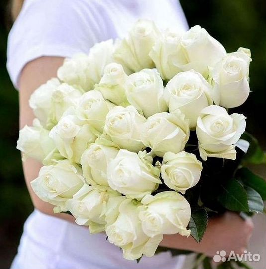 Розы Букеты Цветы Розы 31 101 151 201 Доставка