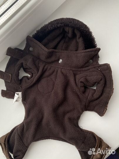 Костюм для собаки