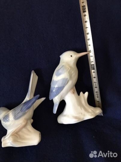 Птицы Германия