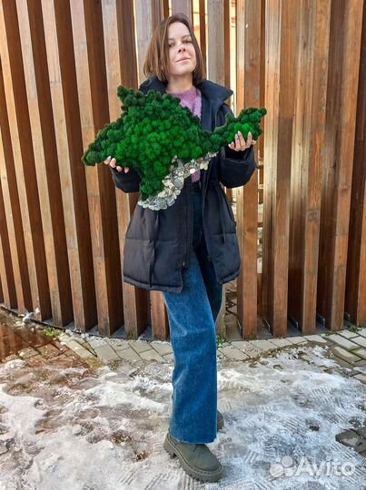 Изготовление панно Крым из стабилизированного мха