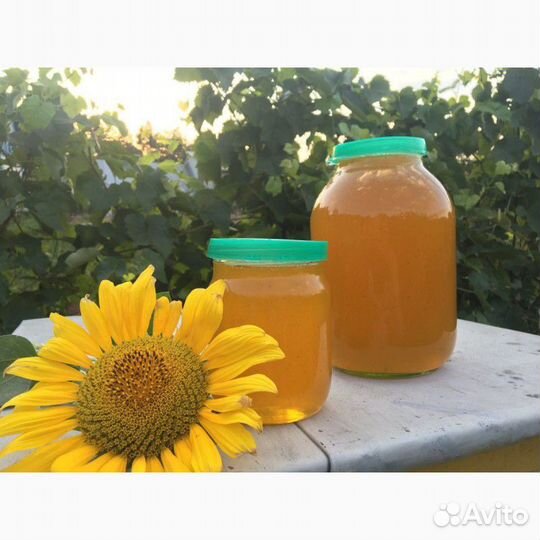 Мёд оптом, подсолнух