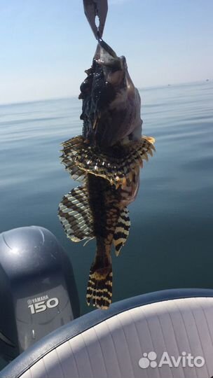 Прогулки на катере, морская рыбалка, экскурсии