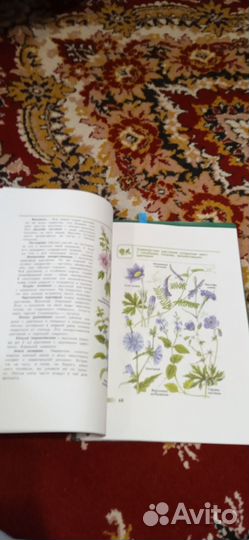 Атлас-определитель