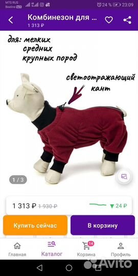 Одежда для собак