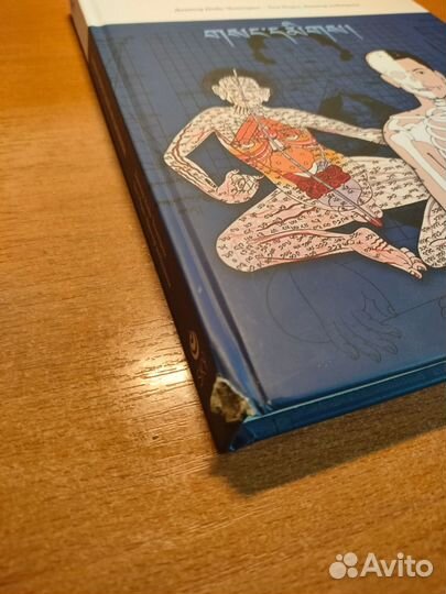 Точки тибетской медицины. Доктор Нида Ченагцанг