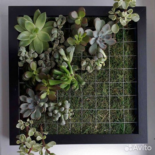 Картины из живых цветов