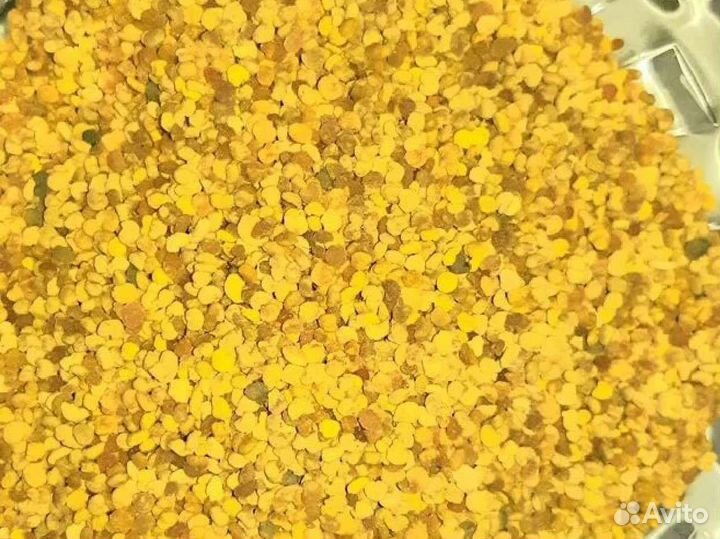 Мёд 2023 свежий 5 сортов мёда (с пасеки)