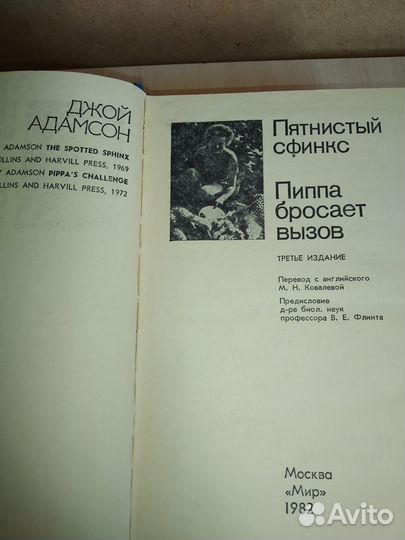 Джой Адамсон Пятнистый сфинкс, Пипа бросает вызов