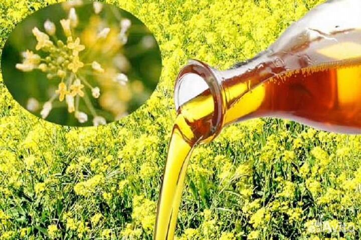 Рыжиковое масло