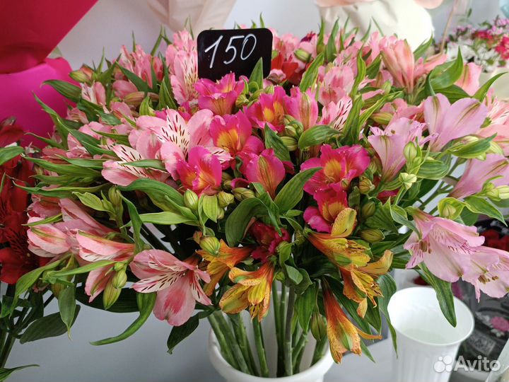 Альстромерия