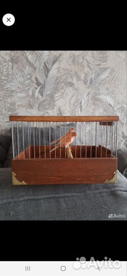 Клетка для птиц из дерева