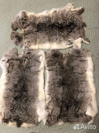 Шкурки кролика