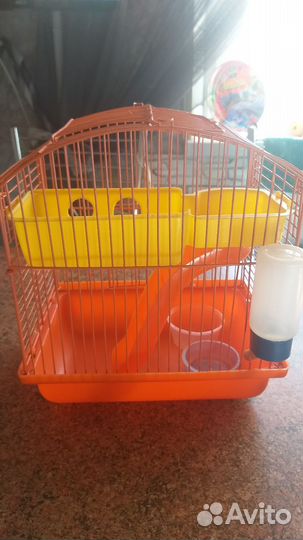 Клетка для джунгарика