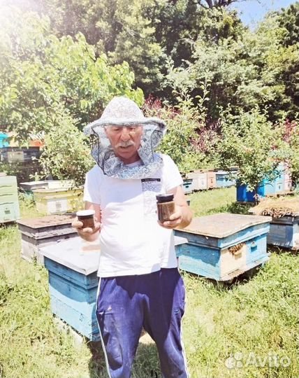 Мед антимикозного действия