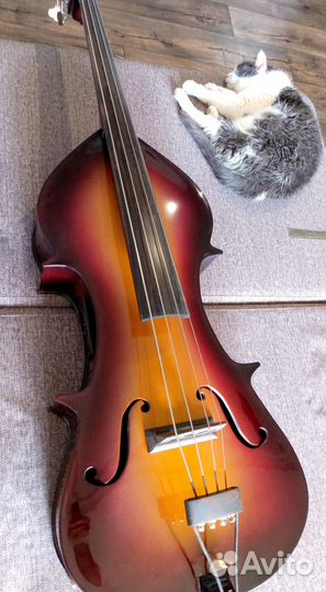 Электроконтрабас