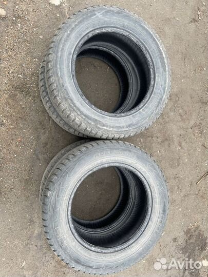 Nokian Tyres Nordman 5 195/65 R15 95T