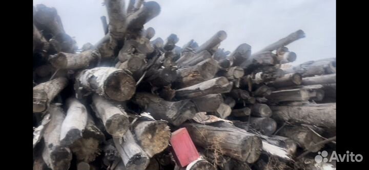 Коряги пни ветки спилы кругляк