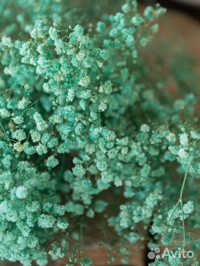 Букет гипсофил