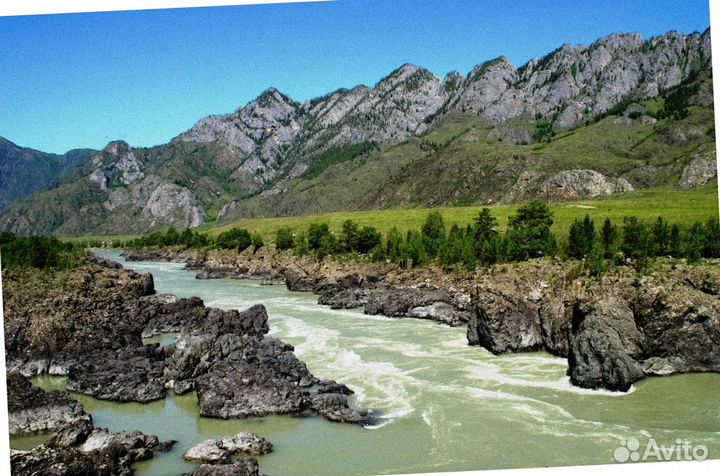 Тур путевка на Алтай летом программа 4-7 дн