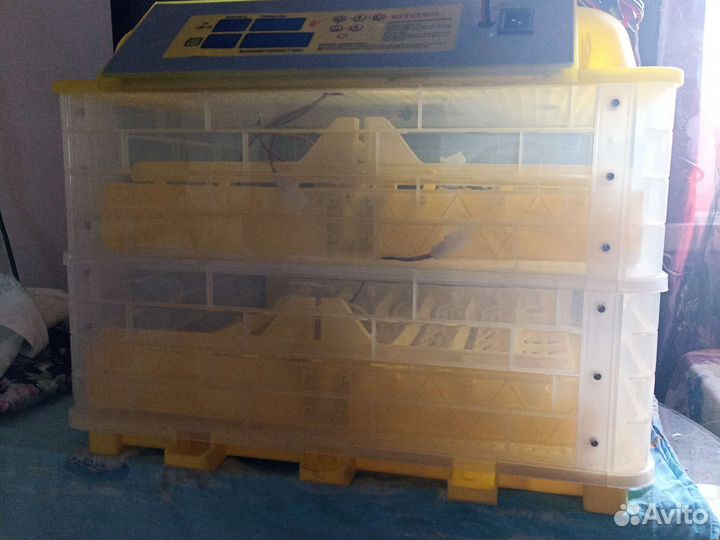 Инкубатор для яиц автоматический бу