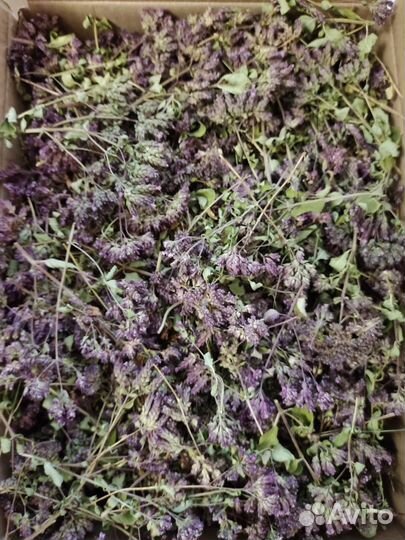 Душица, зверобой и др.сушеные травы