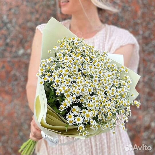 Цветы ромашки. Букеты ромашек. Цветы доставка