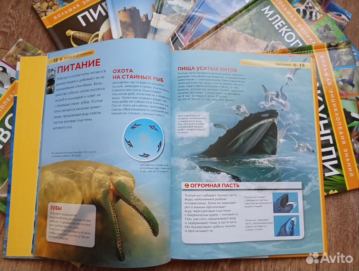 Энциклопедия знаний для детей