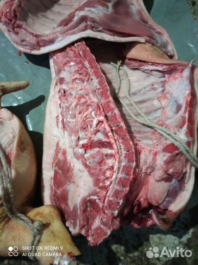 Мясо свинина домашняя