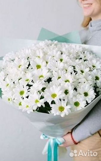 Хризантема