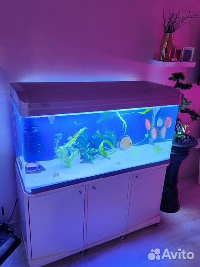 Аквариум с тумбой jebo