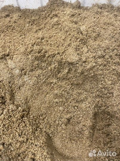 Пивная дробина