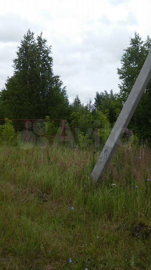 Участок 12 сот. (СНТ, ДНП)