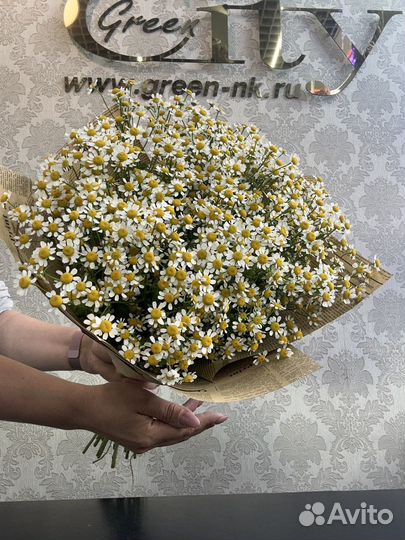 Ромашки