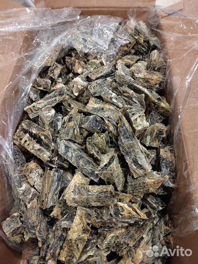 Рыбное лакомство для собак