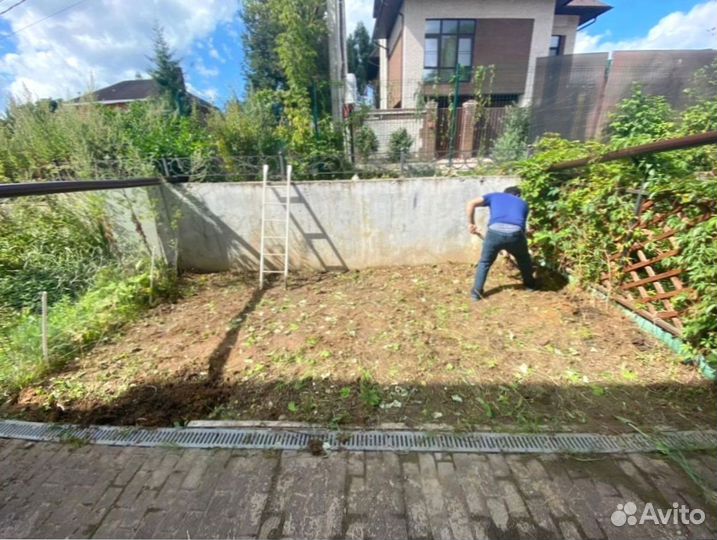 Рулонный газон для небольшого участка