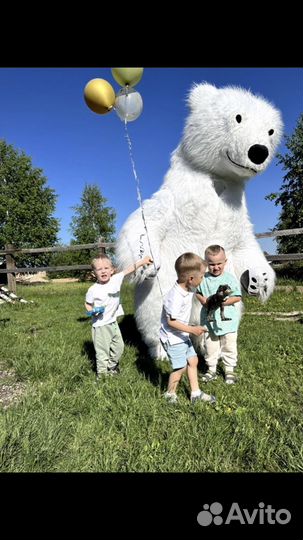 Аниматор Белый Мишка и Панда