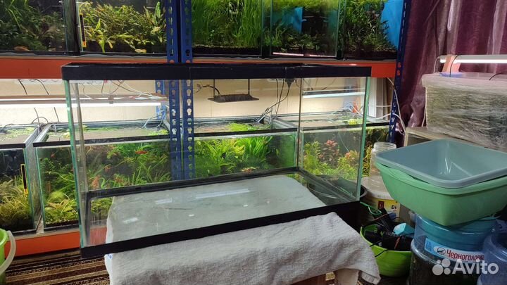 Аквариум