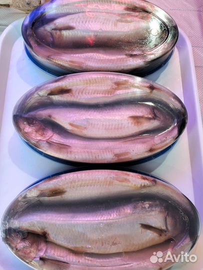 Сельдь Слабосол (Пряная)