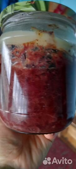 Тушёнка из дичи