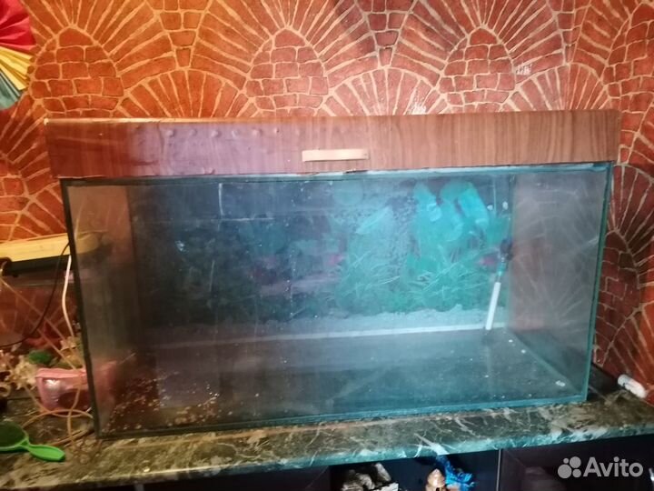Аквариум