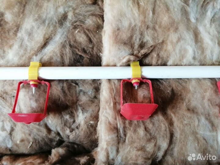 Продам нипельную поилку для кур