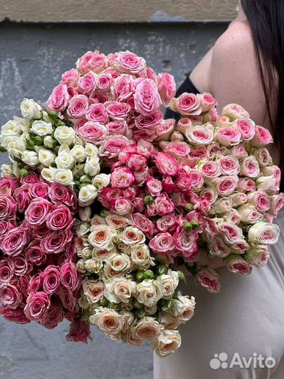 Роза одноголовая,кустовая от 23р