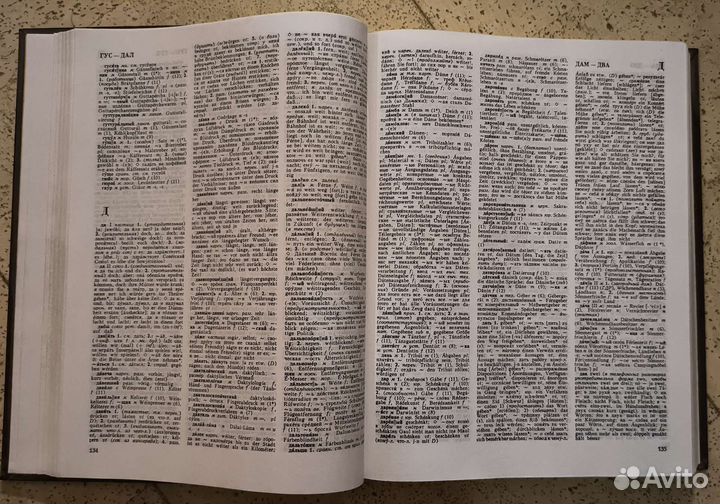 Большой русско-немецкий и немецко-русский словари