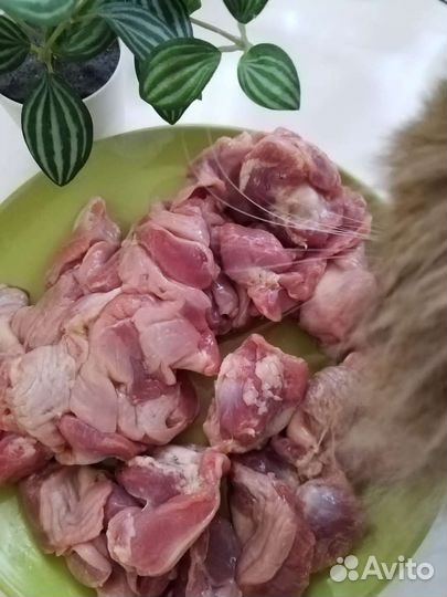 Натуральная еда для животных